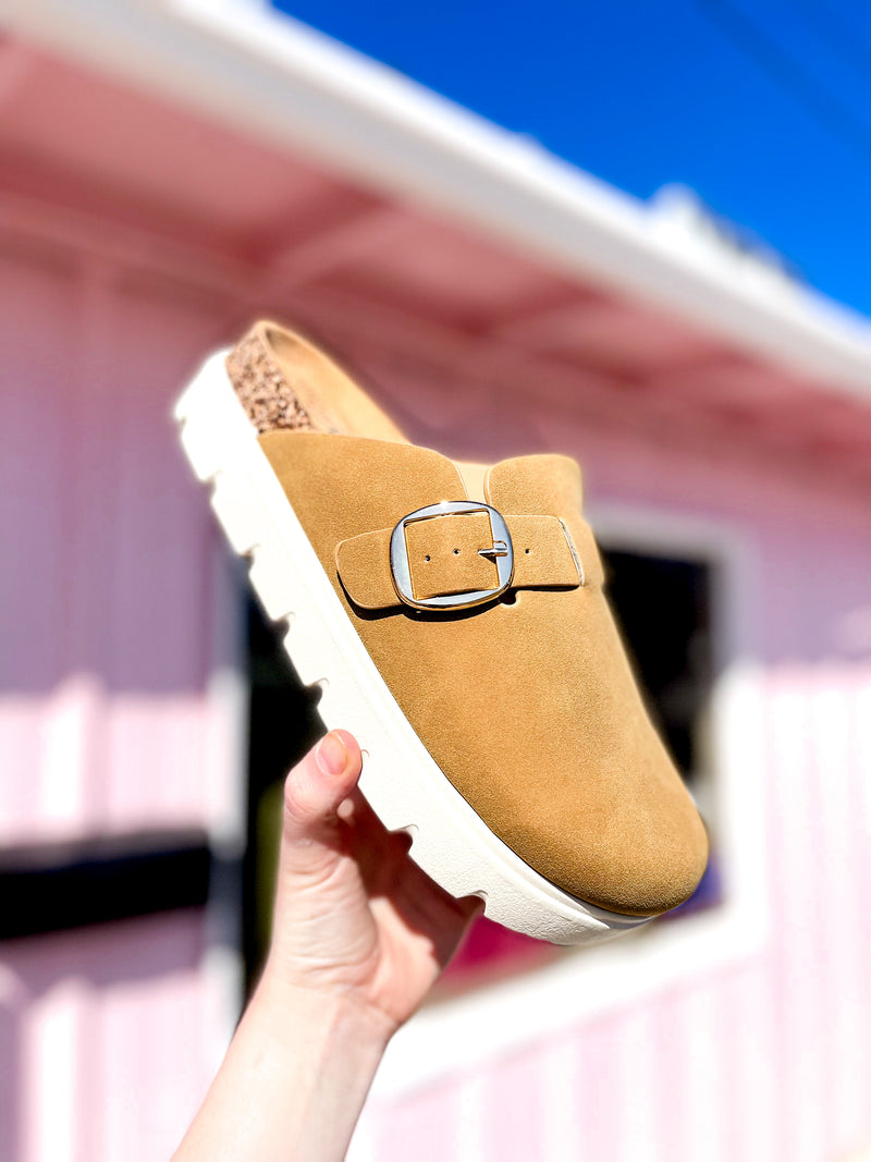 Boston Birkenstock